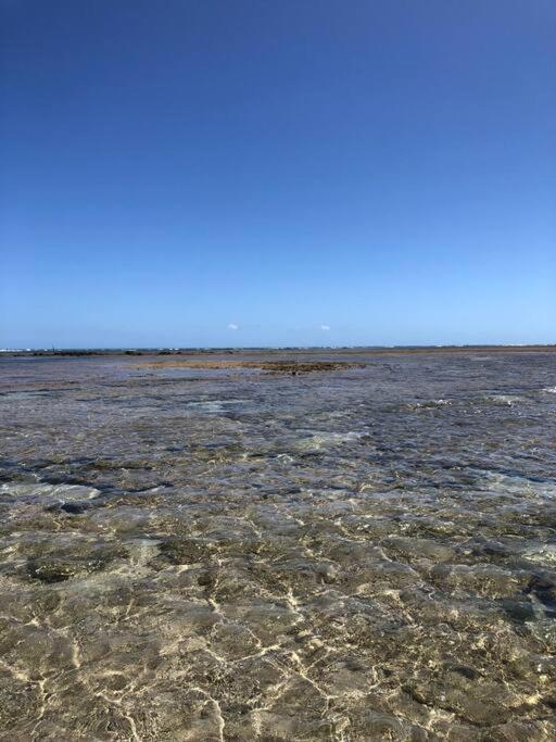 Recanto Dos Coqueirais São Miguel dos Milagres Dış mekan fotoğraf